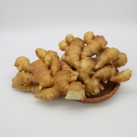 Tranches de gingembre frais biologiques AD, gingembre frais en gros, matière première pure