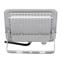 Projecteur LED extérieur 30W, cadre en aluminium moulé sous pression blanc et noir, étanche IP66, AC100-130V