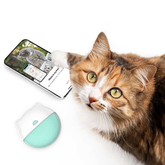 Waterproof 4G Smallest Pet GPS tracker Collar Dog Training tracker