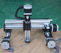 Sistema de Gantry de Movimiento Lineal con Husillo de Bolas Multieje, Plataforma de Posicionamiento XYZ, Robot Cartesiano