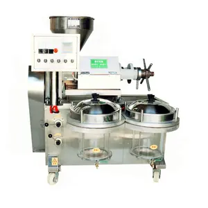 Máquina de procesamiento automático de aceite de palma de cacahuete en Cameroon