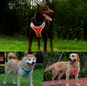 Breathable Nylon No Pull Dog Harness Vest Reflective Adjustable Printed Pet Harness for <b>Small</b> Medium Dogs Cats - Product Image 3