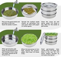 Kit de germination de graines en acier inoxydable à 3 niveaux pour micro-pousses, germeur de graines, plateaux de germination intérieurs pour la cuisine
