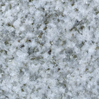Dalle de granit blanc nacré naturel poli de qualité supérieure, découpe sur mesure, durable, garantie 1 an, pour cuisine, salle de bain, escalier, extérieur