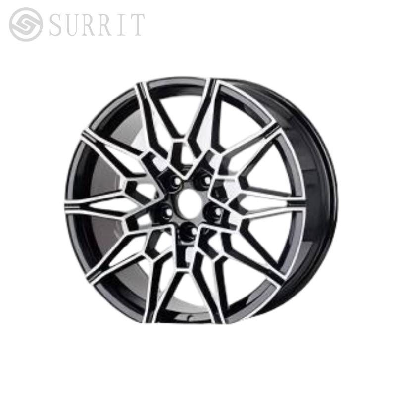 สีดำ + Silver1