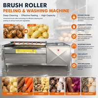 Machine de nettoyage et de pelage à rouleaux à brosse à haut rendement CE pour pommes de terre, carottes, patates douces, taro et légumes – Équipement de lavage
