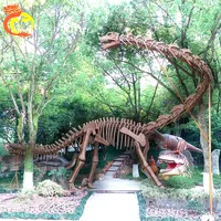 מוזיאון תצוגת פיברגלס אמיתי חיים גודל raptor 3d עצם דינוזאור שלד פיסול replica דגם קישוט חידות
