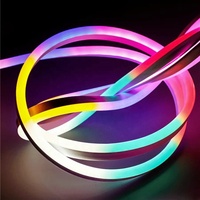 Guirlandes lumineuses LED néon flexibles en PVC, alimentées par USB, avec contrôle par application, pour la décoration de Noël à domicile, IP67