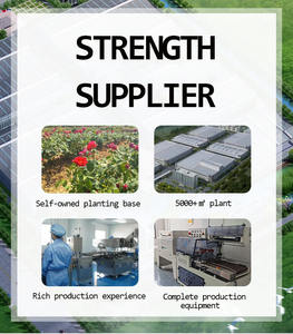 Tisane Bien-être Bio Hem Rid : Complément Naturel Apaisant les Gênes Anales (Sachets) - Product Image 2