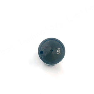 Piston de pompe à carburant de pièces de moteur diesel 1 463 104 684 1463104684 avance de pompe à carburant pour Ivec-o - Product Image 4