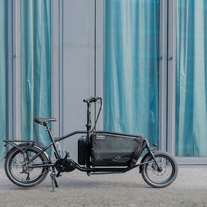Vélo cargo électrique pour enfant de 20 pouces avec longue queue, vélo familial électrique, <span class=keywords><strong>housse</strong></span> de pluie, entrepôt France - Product Image 3
