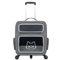 Sac à dos pour chat à double fenêtre avec roulettes, accent néon, chariot de voyage pour animaux de compagnie, imprimé graphique, sac de transport à roulettes pour chien, base détachable – Grande Vente