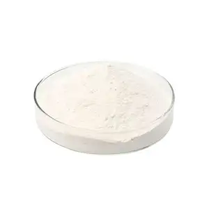 Nanopartículas do Vietnã carbonato de cálcio em pó carbonato de cálcio em pó calcário em pó de alta qualidade premium pureza qualidade superior
