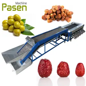 Multifunctionele Groente Fruit Size Grading Citrus Wassen Sorteren Machine