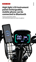 Bicicleta Eléctrica de Carga Antideslizante, Superventas en Rusia, Recargable, para Reparto, Bici Eléctrica Híbrida
