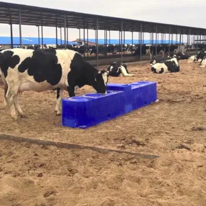 Bebederos de ganado de Calefacción Automática con control de aplicación con bebedero de vaca de 6 bolas