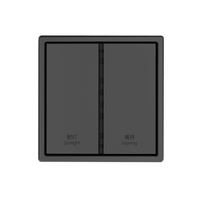 Interrupteur mural intelligent en métal 2 gangs 2 voies série Lena avec application KNX pour le contrôle de l'éclairage, la création de scènes et la programmation de minuteries
