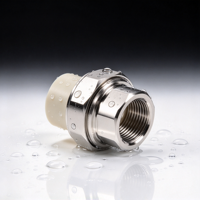 Raccord de tuyauterie à fusion thermique PPR vers acier inoxydable, adaptateur fileté mâle pour alimentation en eau chaude et froide
