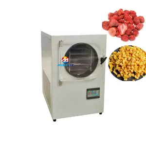 Máquina de secagem de congelamento comercial, máquina de café seca congelada
