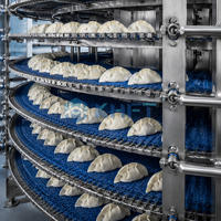 IQF spiraalvriezer 500kg/u voor continue verwerking van diepvriesproducten
