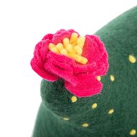 Lit pour chat en feutre de laine, style bohème tropical, en forme de cactus, écologique, lavable, abri pour animaux de compagnie fait main en forme de plante, taille et couleur personnalisables, mignon