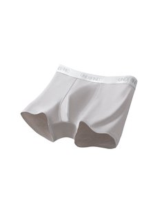 Calzoncillos bóxer sin costuras <span class=keywords><strong>para</strong></span> <span class=keywords><strong>hombre</strong></span>, de seda helada, listos <span class=keywords><strong>para</strong></span> enviar, en stock, entrega rápida, logotipo personalizado, MOQ bajo, certificados - Product Image 2