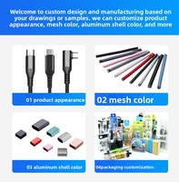 Câble de charge rapide USB C -C 2 en 1 en nylon tressé CE/FCC/ROHS PD100W pour ordinateur portable, iPad et iPhone, charge simultanée
