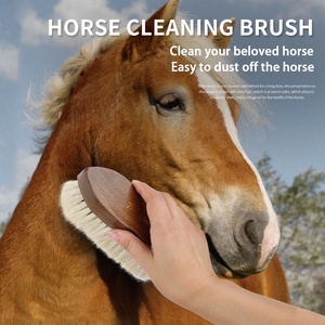 <span class=keywords><strong>Brosse</strong></span> de <span class=keywords><strong>cheval</strong></span> d'équipement de toilettage en bois de crin de <span class=keywords><strong>cheval</strong></span> de logo personnalisé en gros d'usine - Product Image 5