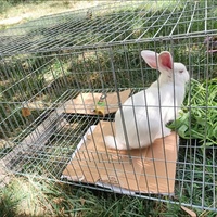 Cage à lapins commerciale pour l'élevage, cage métallique détachable, chenil pliable portable pour chiens et chats, Jaula Para Gatos, Cage De Lapin, Dog