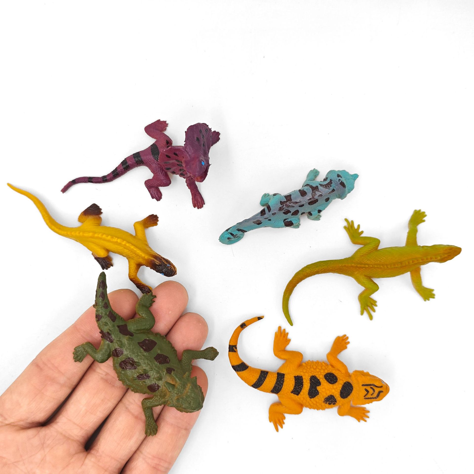 Multi-Style-Realistic-Lizard-