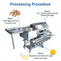 Machine industrielle ORME en acier inoxydable pour casser les œufs et séparer les blancs des jaunes