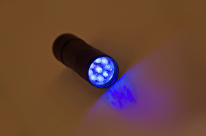 Mini lampe Portable à lumière ultraviolette, lampe de poche à 9 led pour la pêche à la mouche, Buzzer, coccinelle, colle UV - Product Image 5