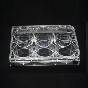 Laboratory Supplies Wholesale Price 6 well Tissue Culture Plate cell culture plate with lid