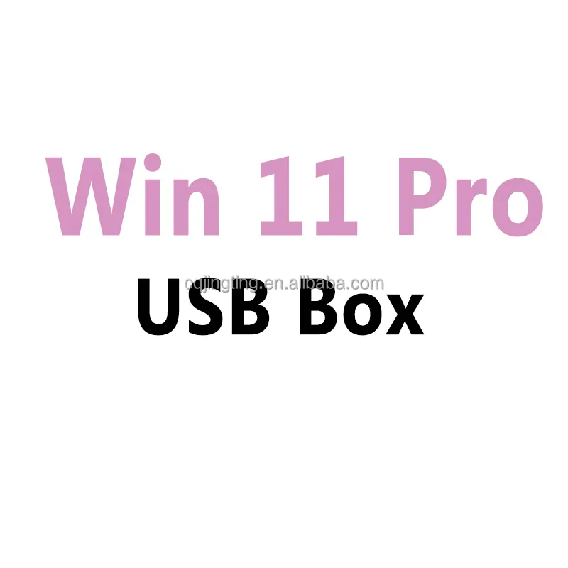 תיבת USB מקורית Win 11 Pro Win 11 מקצועית תיבת USB 100% הפעלה מקוונת Win 11 Pro Box משלוח מהיר