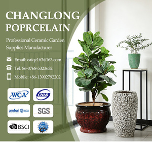 <span class=keywords><strong>Maceta</strong></span> de Cerámica Mexicana OEM, Fabricada en China, Estilo Wabi-Sabi, <span class=keywords><strong>Maceta</strong></span> para Vivero, Venta al por Mayor, <span class=keywords><strong>Maceta</strong></span> Esmaltada a Mano - Product Image 6
