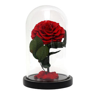 Regalo de San Valentín, <span class=keywords><strong>El</strong></span> <span class=keywords><strong>Principito</strong></span> de Alto Nivel de Diseño, para Flor Eterna, Cubierta de Cristal, Rosa Real, Adornos, Transfronterizo, Sin Luz - Product Image 5