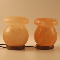 Lampe de Sel de l'Himalaya Sculptée à la Main Dimmable, Rose Naturel, Lumière LED Chaude, Veilleuse de Bureau, Décoration Florale, Musique, Ange, Amour, Noël - Offre Spéciale