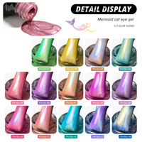 Vernis Gel Effet Œil de Chat Deroi avec Poudre Magnétique Grossière, en Bouteille, Logo Personnalisé, Couleur OEM ODM, Vente en Gros, Sans HEMA, Gel UV Effet Œil de Chat