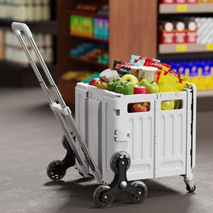 Nieuwe Vierwielige Plastic Opvouwbare Auto 'S Supermarkt Supermarkt Winkel Opslag Organizer Opvouwbare Camping <span class=keywords><strong>Trolley</strong></span> Met Hoes - Product Image 1