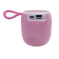 Lulin Portable Mini Haut-Parleur Sans Fil LP-25119 Musique Stéréo pour Haut-Parleur Bluetooth avec Éclairage LED RVB Armoire en Plastique Durable
