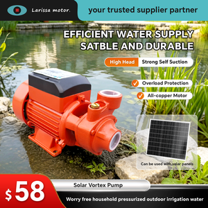 Bomba de Agua Periférica de Hierro Fundido <span class=keywords><strong>Pedrollo</strong></span> QB60 con Energía Solar, Motor de Cobre para Agua Limpia y Aguas Residuales Agrícolas, Garantía CE OEM - Product Image 1