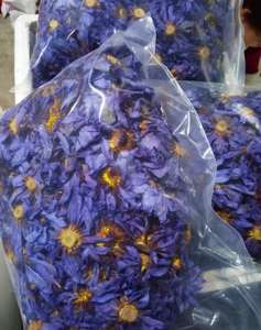 ルーズドライホールブルーロータスフラワーハーブスリーピングティーゴールデンロータスフルフラワーディバイルバッグ - Product Image 5