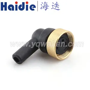 Haidie 2 pin weibliche automotive kabelbaum stecker HD3024M-2.5-21