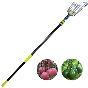 <span class=keywords><strong>Recogedor</strong></span> <span class=keywords><strong>de</strong></span> Frutas Manual Industrial, Herramienta Telescópica para Recoger Manzanas, Aceitunas, Aguacates y Mangos con Cesta y Poste Ajustable, OEM - Product Image 2