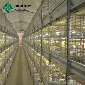 تصنيع نوعية جيدة H نوع البطارية قفص الدجاج اللاحم للبيع