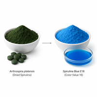 Poudre de spiruline bleue en vrac de l'usine LCHBIO - e6/E18/E25/E40 - 100% soluble dans l'eau - Qualité alimentaire supérieure - ISO 22000 - Pigment bleu naturel