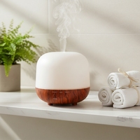 Diffuseur d'huiles essentielles de 250 ml avec lumière LED, diffuseur d'aromathérapie à ultrasons pour la maison, le bureau et l'hôtel
