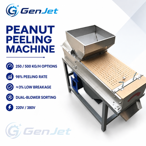 Décortiqueuse industrielle d'arachides avec une capacité de 500 kg par heure, double moteur et 3 % de brisage pour la production alimentaire - Product Image 3