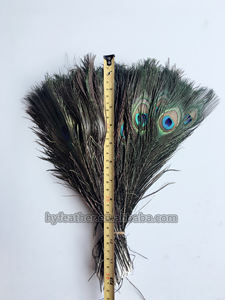 パーティーカーニバルホームウェディングセンターピースクリスマス花瓶ホリデーデコレーションDIYクラフトフローラル用パープルナチュラルバルクピーコックフェザー - Product Image 3