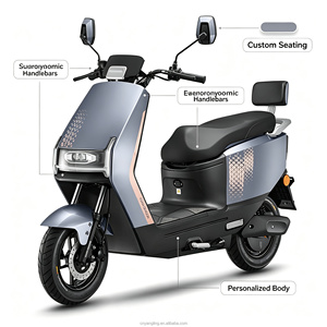 Hot Selling 48V <b>Adult</b> Leisure Two Wheeled <b>Electric</b> Vehicle, Straight From the Source, with Long Range for Commuting and Work - Product Image 2